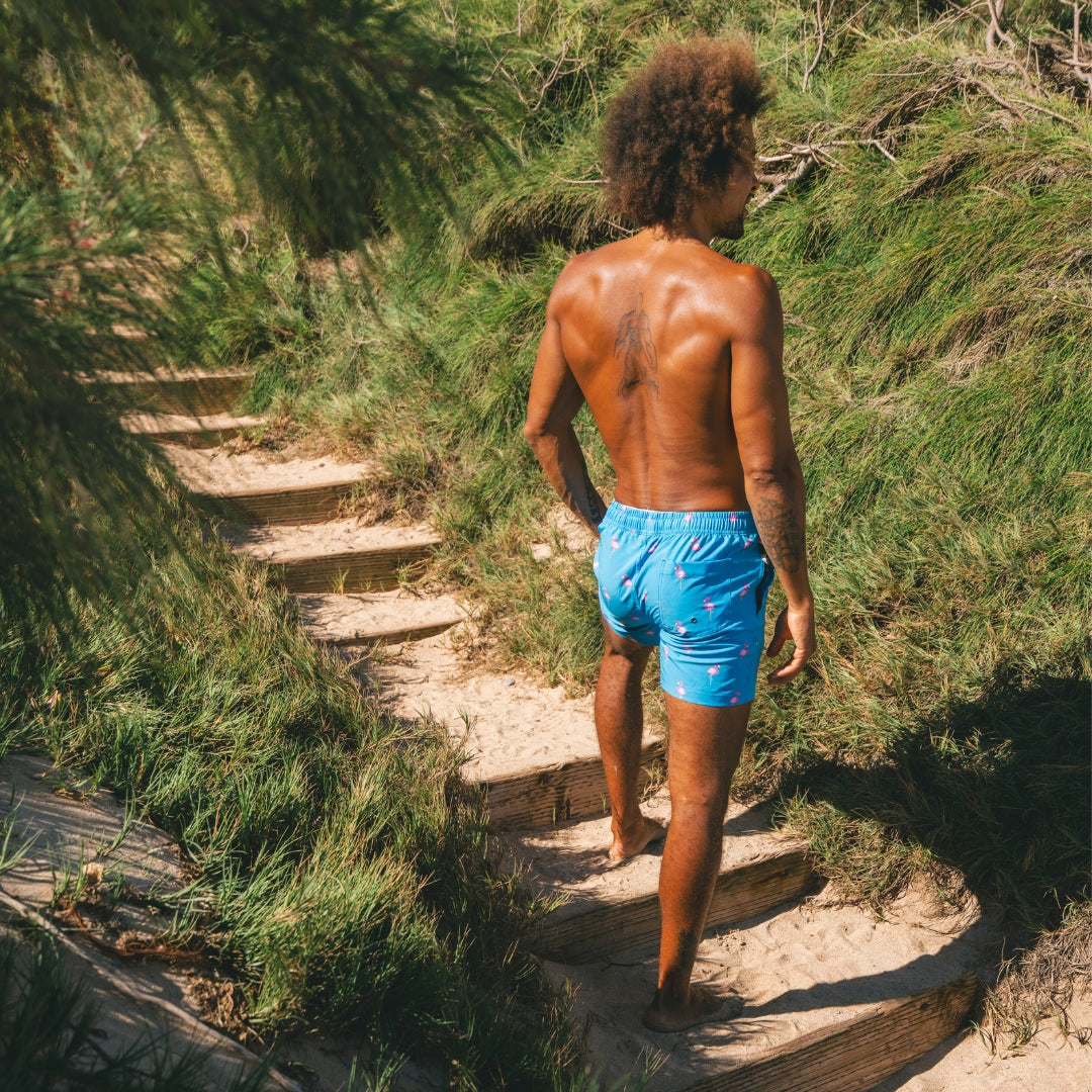 Flamingo, Royal Blue, Men's swimming trunks