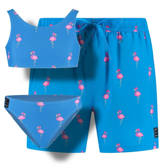 Flamingo, Royal Blue, Father and daughter swimwear
