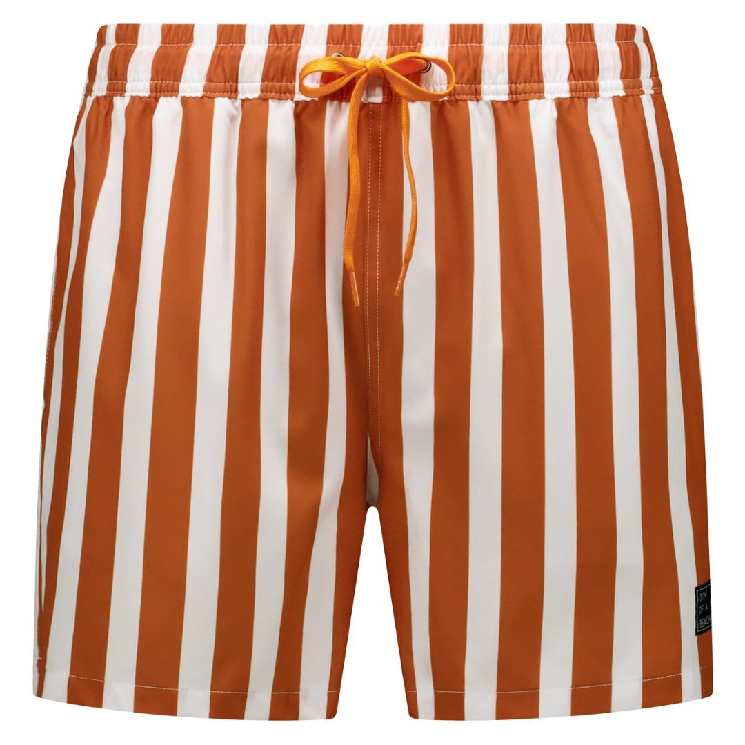 Striped, Brown, Boys Swim Trunks